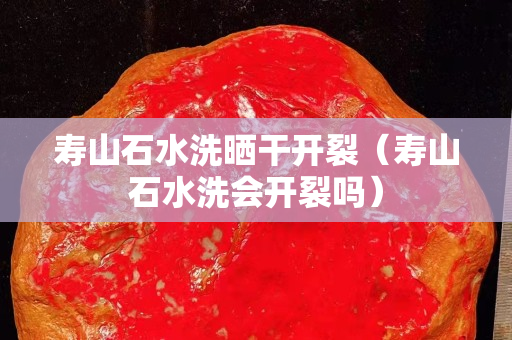 寿山石水洗晒干开裂（寿山石水洗会开裂吗）