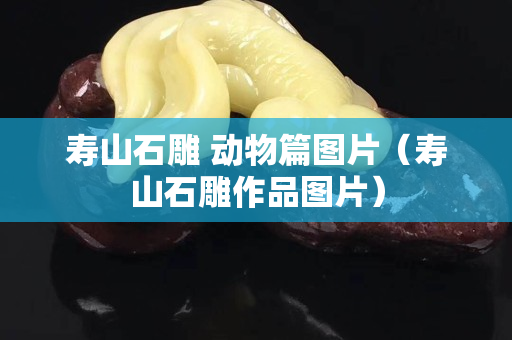 寿山石雕 动物篇图片（寿山石雕作品图片）