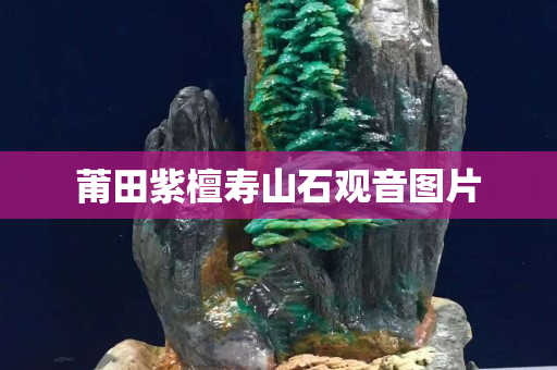 莆田紫檀寿山石观音图片