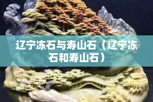 辽宁冻石与寿山石（辽宁冻石和寿山石）