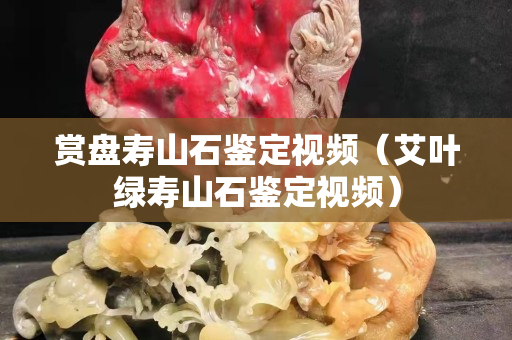 赏盘寿山石鉴定视频（艾叶绿寿山石鉴定视频）