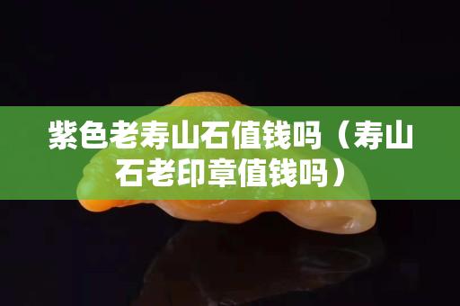 紫色老寿山石值钱吗（寿山石老印章值钱吗）