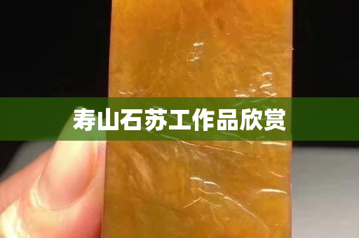 寿山石苏工作品欣赏