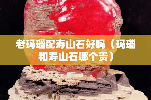 老玛瑙配寿山石好吗（玛瑙和寿山石哪个贵）