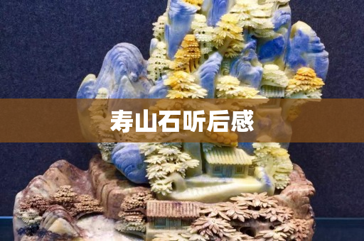 寿山石听后感