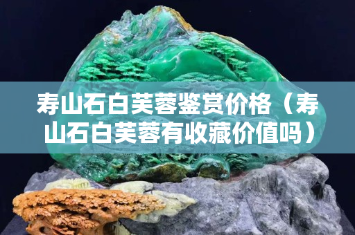 寿山石白芙蓉鉴赏价格（寿山石白芙蓉有收藏价值吗）