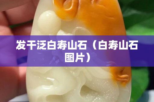 发干泛白寿山石（白寿山石图片）