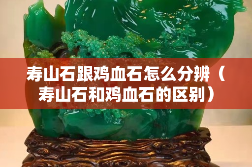 寿山石跟鸡血石怎么分辨（寿山石和鸡血石的区别）