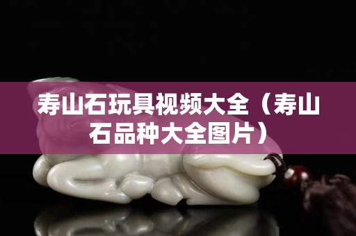 寿山石玩具视频大全（寿山石品种大全图片）