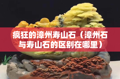 疯狂的漳州寿山石（漳州石与寿山石的区别在哪里）