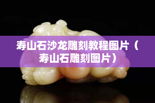 寿山石沙龙雕刻教程图片（寿山石雕刻图片）