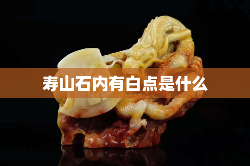 寿山石内有白点是什么