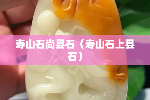 寿山石尚县石（寿山石上县石）