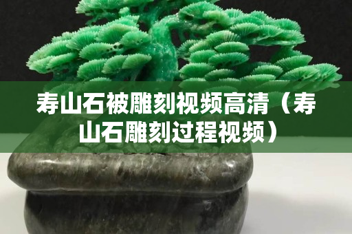 寿山石被雕刻视频高清（寿山石雕刻过程视频）