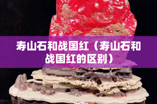 寿山石和战国红（寿山石和战国红的区别）