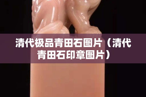 清代极品青田石图片（清代青田石印章图片）