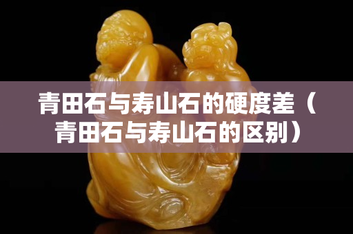 青田石与寿山石的硬度差（青田石与寿山石的区别）