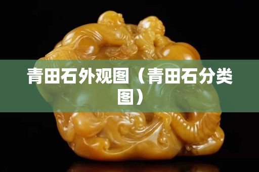 青田石外观图（青田石分类图）