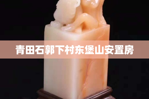 青田石郭下村东堡山安置房