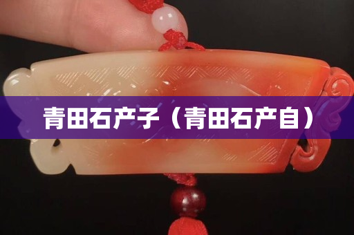 青田石产子（青田石产自）