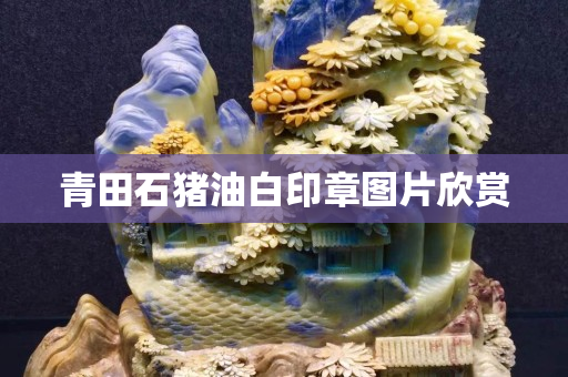 青田石猪油白印章图片欣赏