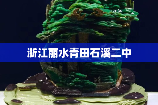 浙江丽水青田石溪二中