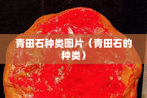 青田石种类图片（青田石的种类）