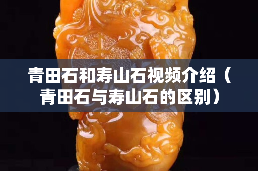 青田石和寿山石视频介绍（青田石与寿山石的区别）