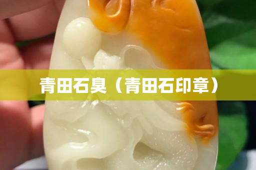青田石臭（青田石印章）