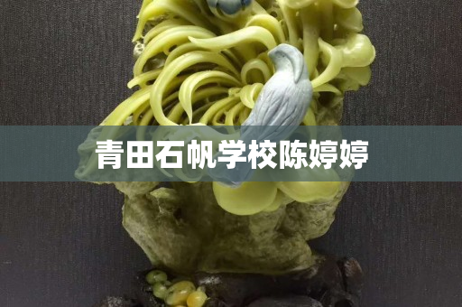 青田石帆学校陈婷婷