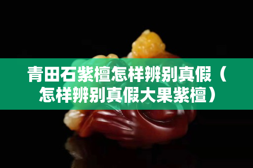青田石紫檀怎样辨别真假（怎样辨别真假大果紫檀）