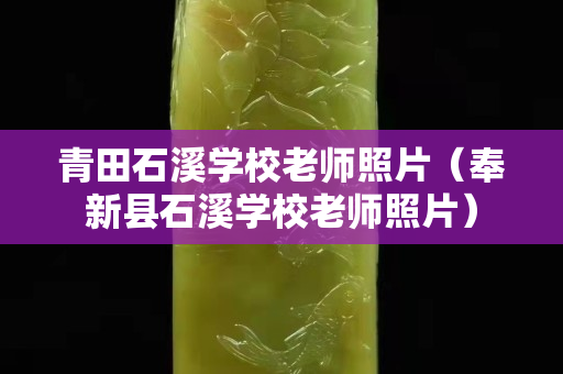 青田石溪学校老师照片（奉新县石溪学校老师照片）