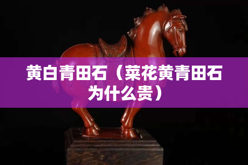 黄白青田石（菜花黄青田石为什么贵）