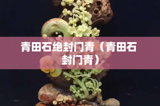 青田石绝封门青（青田石 封门青）