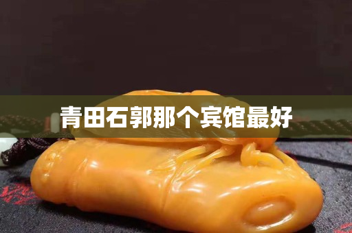 青田石郭那个宾馆最好