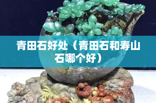 青田石好处（青田石和寿山石哪个好）