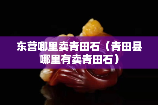 东营哪里卖青田石（青田县哪里有卖青田石）