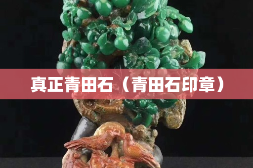 真正青田石（青田石印章）