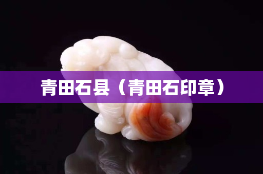 青田石县（青田石印章）