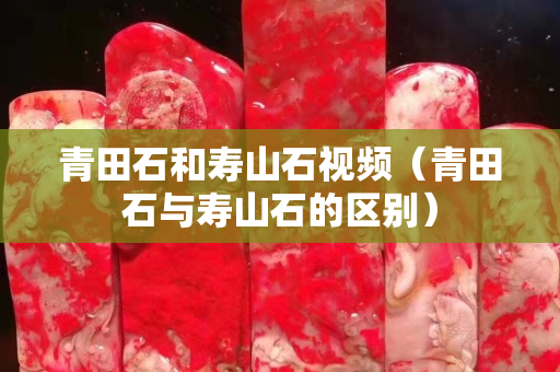 青田石和寿山石视频（青田石与寿山石的区别）
