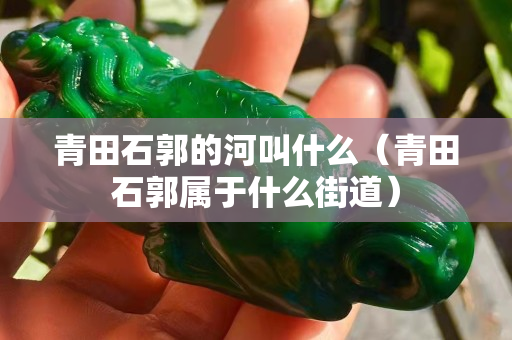 青田石郭的河叫什么（青田石郭属于什么街道）