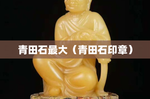 青田石最大（青田石印章）