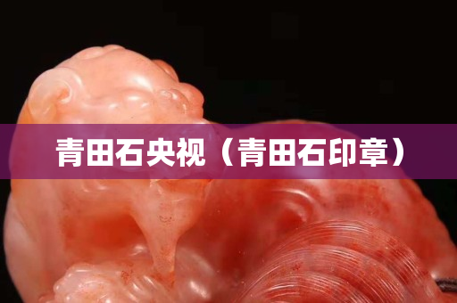 青田石央视（青田石印章）