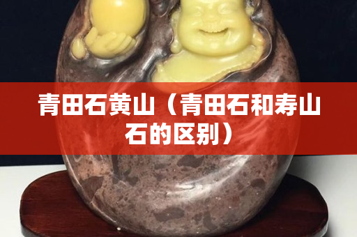 青田石黄山（青田石和寿山石的区别）