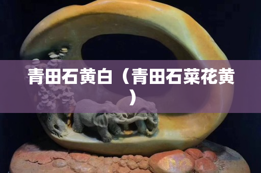 青田石黄白（青田石菜花黄）