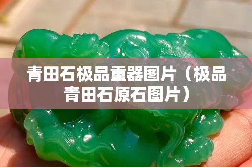 青田石极品重器图片（极品青田石原石图片）