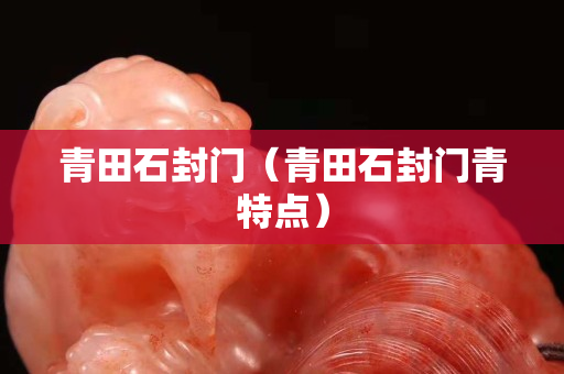 青田石封门（青田石封门青特点）