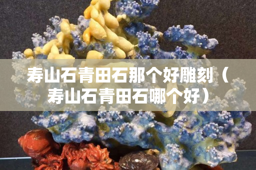 寿山石青田石那个好雕刻（寿山石青田石哪个好）