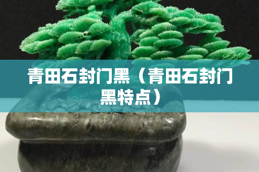 青田石封门黑（青田石封门黑特点）