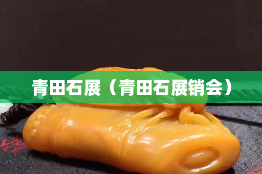 青田石展（青田石展销会）